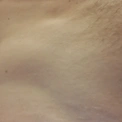 Gigi77784777