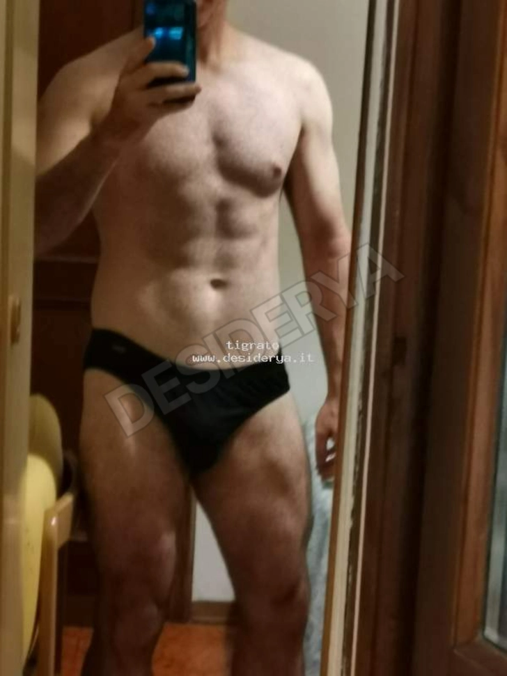 Annuncio (8393888) - tigrato 1