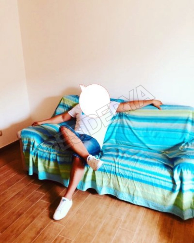 chicco794606150