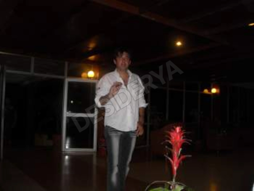 ghemar5580557
