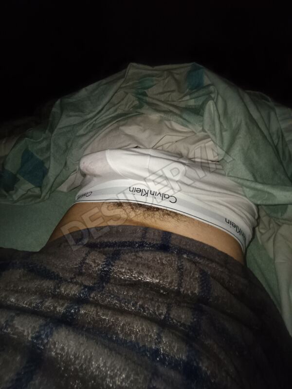 Salvo015984646