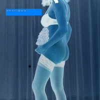 Divina6532006