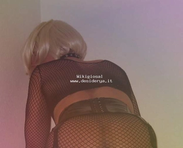 Wikigiosal1
